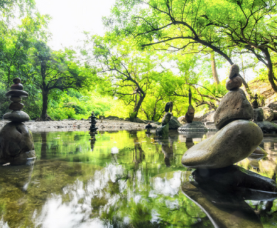 Ikigai: the Japanese way of life that promises happiness